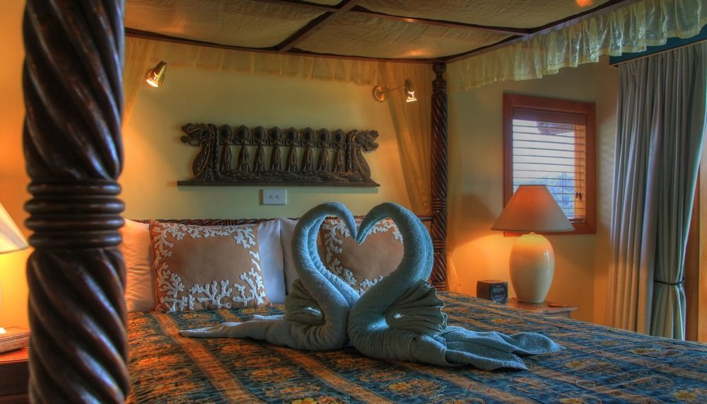 Maleny Tropical Retreat Bed & Breakfast Dış mekan fotoğraf