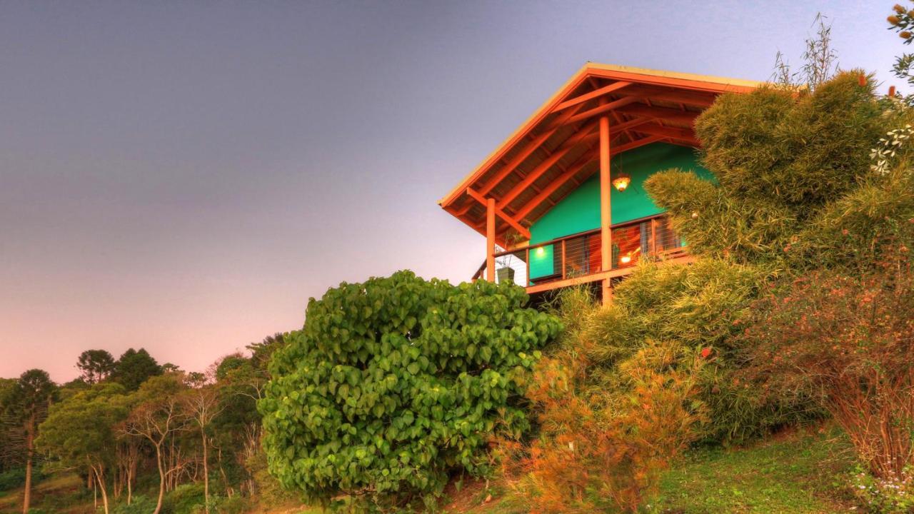 Maleny Tropical Retreat Bed & Breakfast Dış mekan fotoğraf