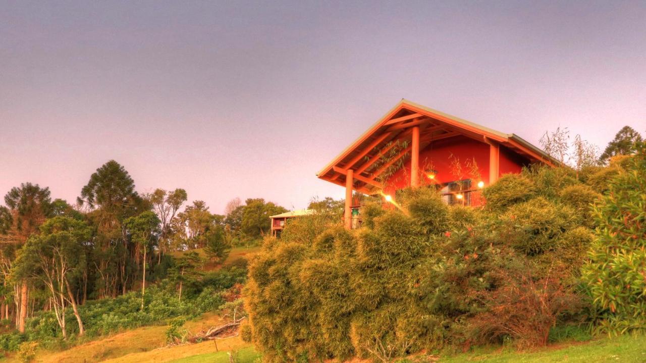 Maleny Tropical Retreat Bed & Breakfast Dış mekan fotoğraf