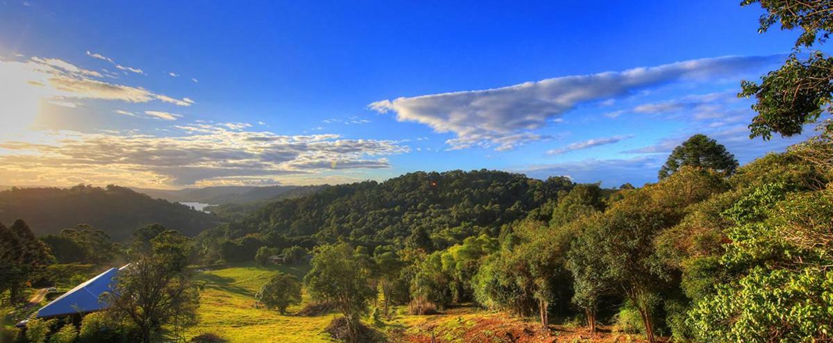 Maleny Tropical Retreat Bed & Breakfast Dış mekan fotoğraf