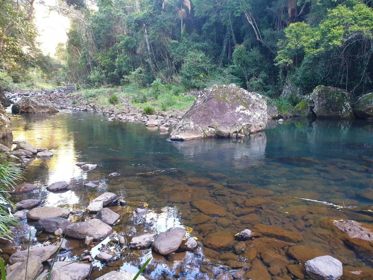 Maleny Tropical Retreat Bed & Breakfast Dış mekan fotoğraf